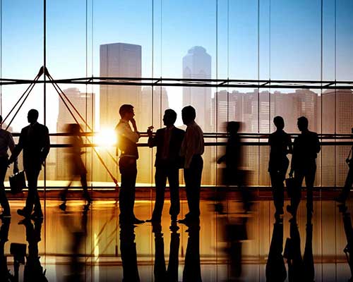 Management Consultancy